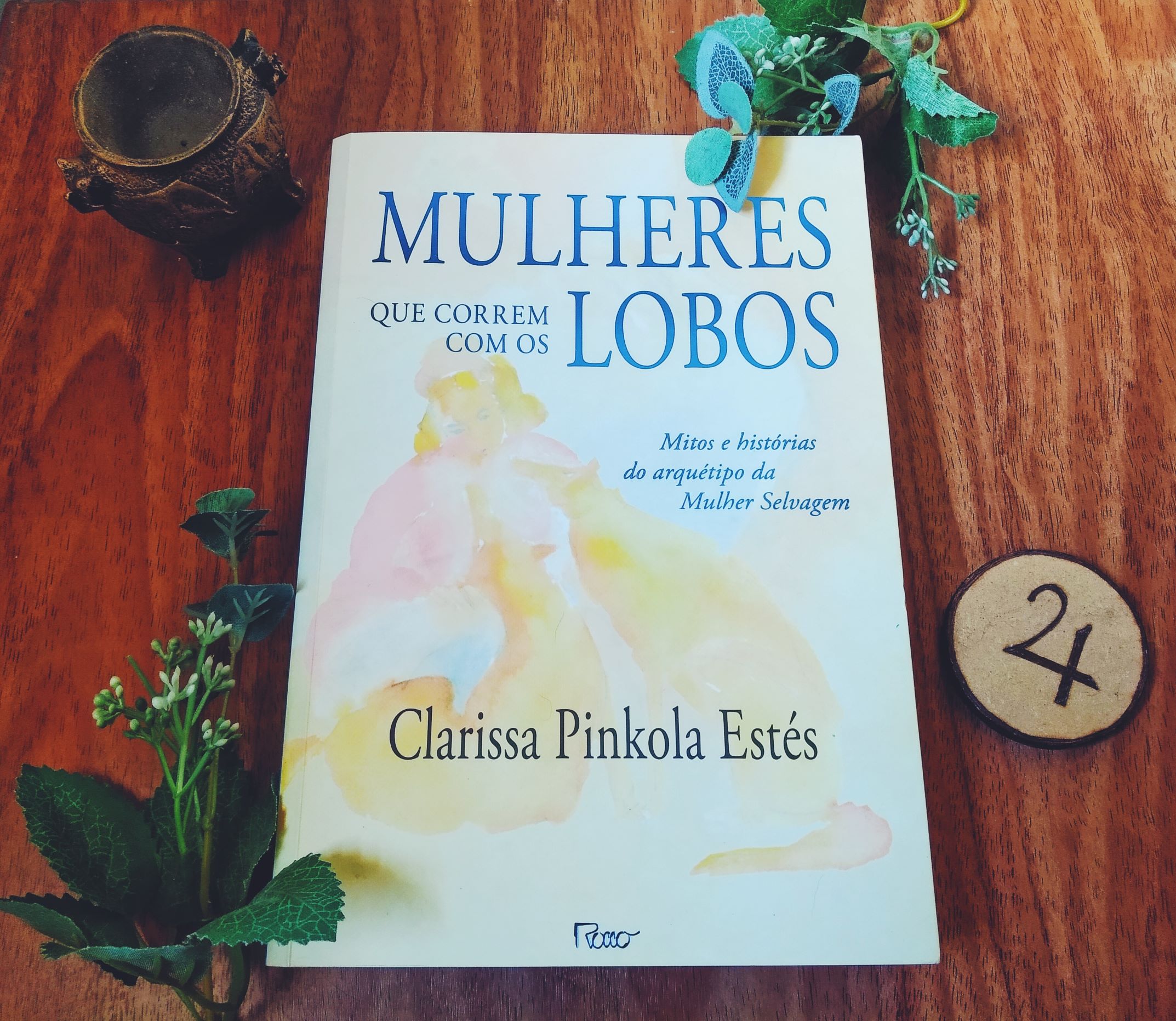 Sobre “Mulheres Que Correm Com Os Lobos” E Um Relato Pessoal - Sonhos de  Letras